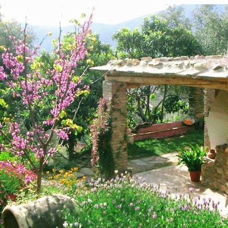 Mountain House Surrounded By Nature Bayacas Luaran gambar