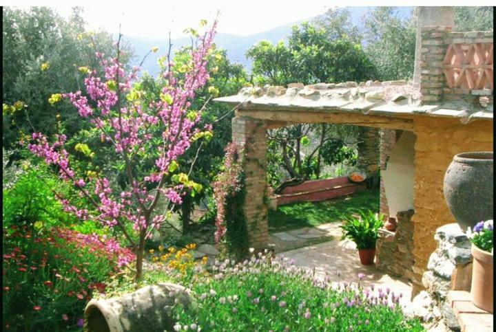Mountain House Surrounded By Nature Bayacas Luaran gambar